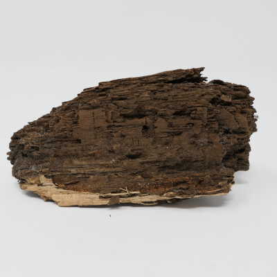 Wood, Bullets Embedded