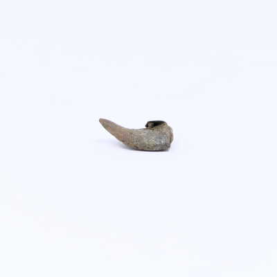 #30, .250 HP bullet, disfigured from impact