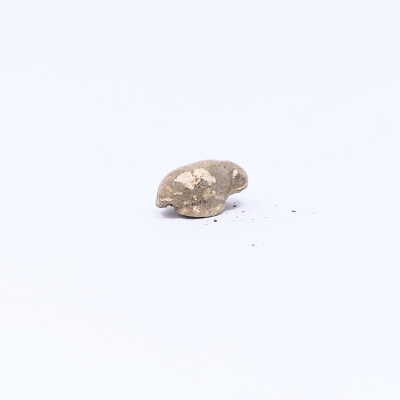 #20, likely .30-30 bullet, disfigured from impact