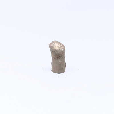 #31, unidentified bullet, disfigured from impact