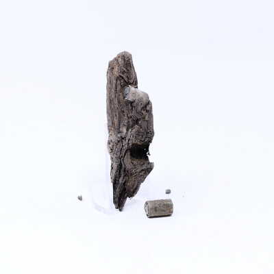 Whites Trace Branch: WTB2, Archaeological Site