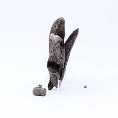 #1, wood with two bullets embedded