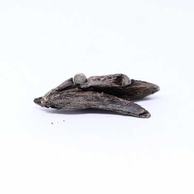 #1, wood with two bullets embedded