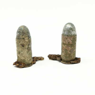 .45 cal ACP Cartridges (2) on Clip