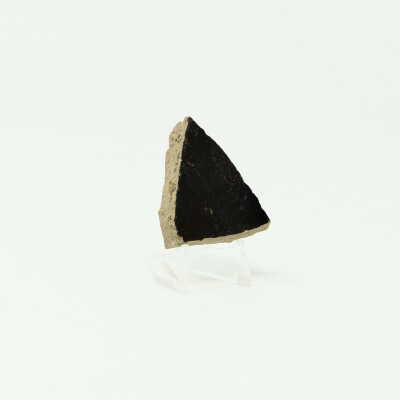 Whites Trace Branch: Archaeological Shovel Test Pit #12