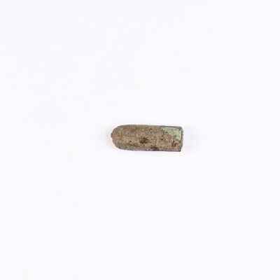 .25 cal Bullet
