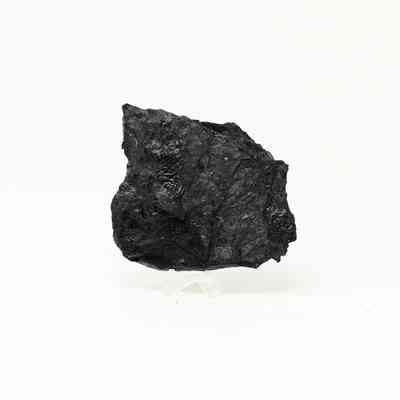 Bituminous Coal Specimen