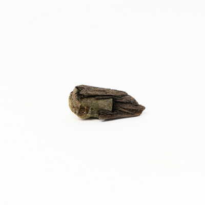 bullet embedded in wood