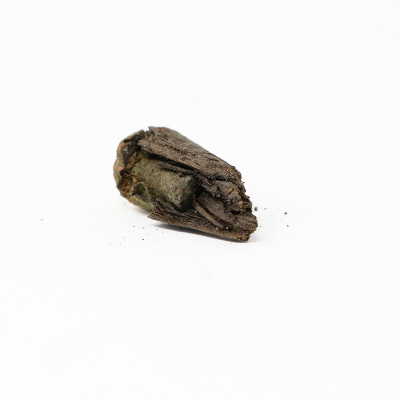 bullet embedded in wood
