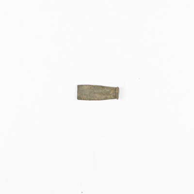 .22 Winchester Rimfire Casing