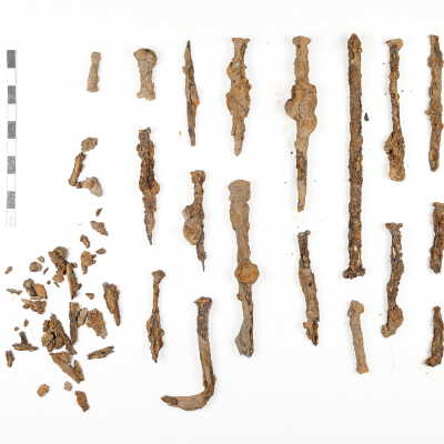 Whites Trace Branch: Archaeological 1 Meter Test Pit #1, Level 1