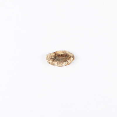 .30 cal Bullet
