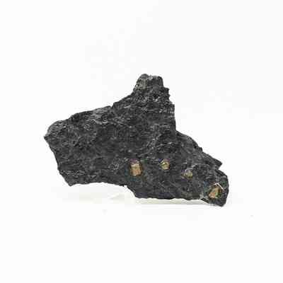 Bituminous Coal Specimen