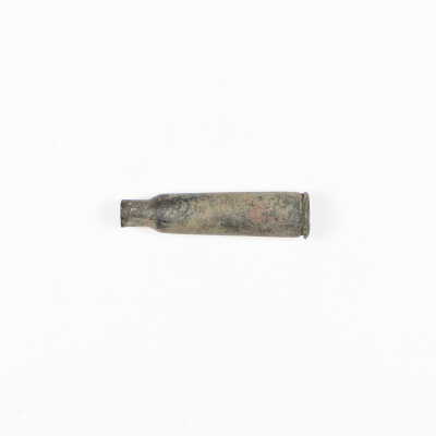 .250 Savage Casing