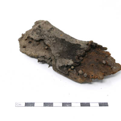 sole, inside footbed and hobnails