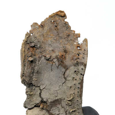 back portion of sole, toe area would be at top but has ripped away