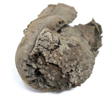 toe and sole, from front