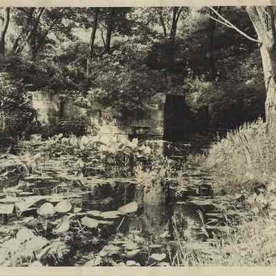 Lower Lake Mill Ruins