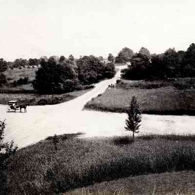 Lee Road and South Park Boulevard (Looking North), 1898