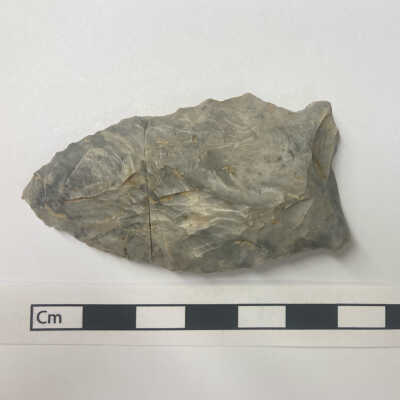 Projectile Point