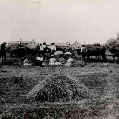 North Union Shakers in Hay Field, 1876