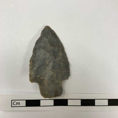 Projectile Point