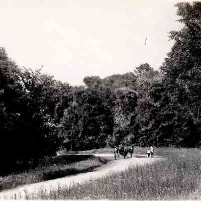 Road North of Upper Lake, 1898