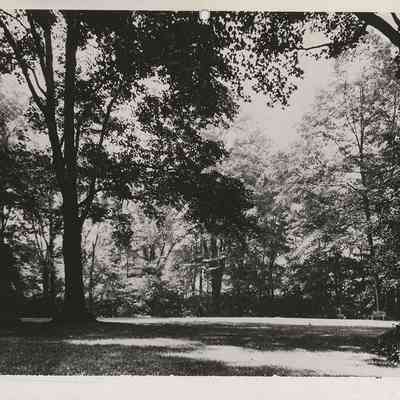 North Union Holy Grove