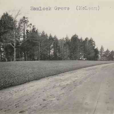 Hemlock Grove (East View), c.1898