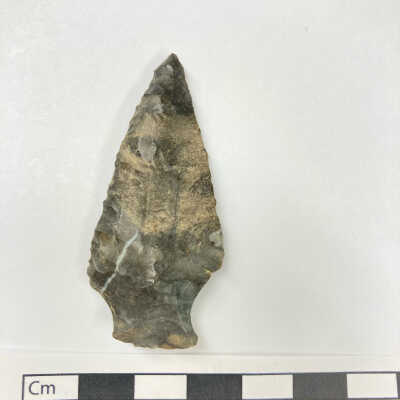 Projectile Point