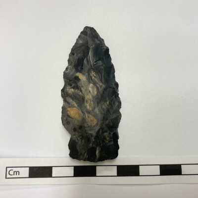 Projectile Point