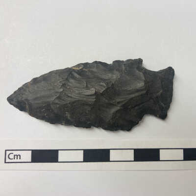Projectile point