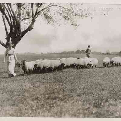 Pastoral Scene on the Palmer Farm, c.1912