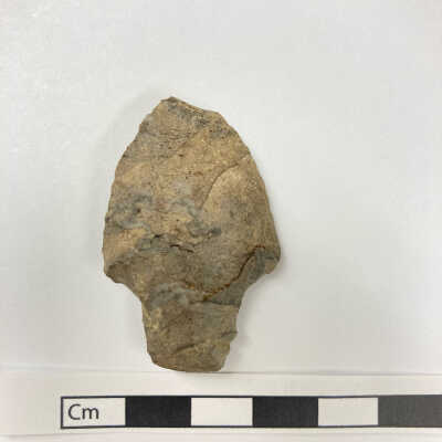 Projectile Point