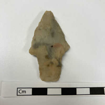 Projectile Point