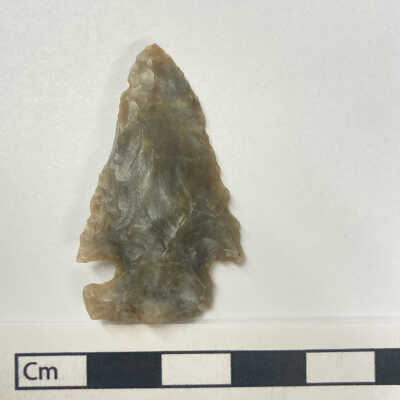 Projectile Point