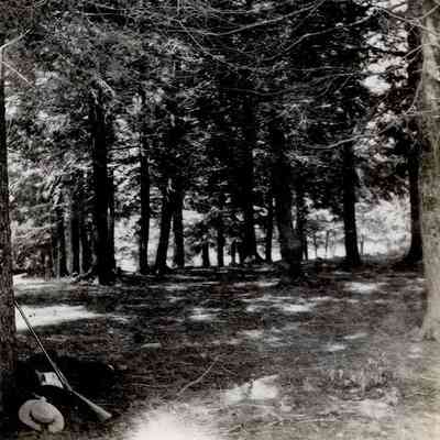 Hemlock Grove, 1876