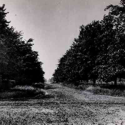 Lee Road Looking South from Fairmount Boulevard, 1898