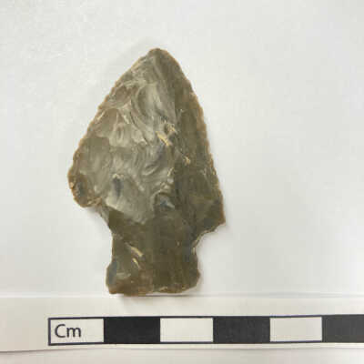 Projectile Point