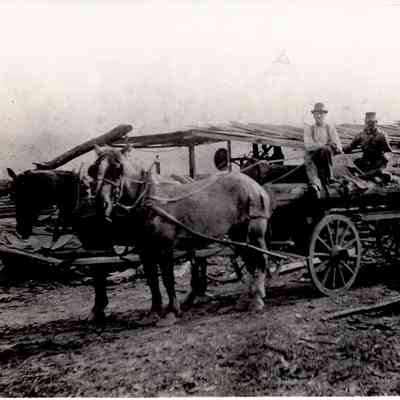 Sawmill at 8 Mile Lock, 1870 or 1890