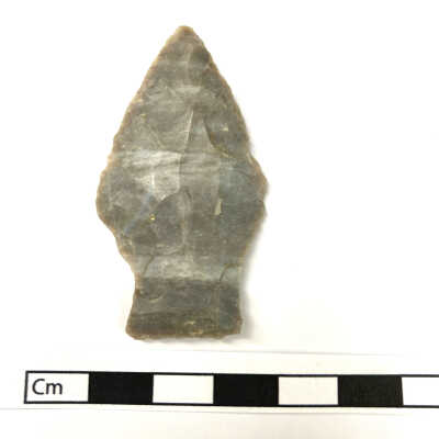 Projectile Point