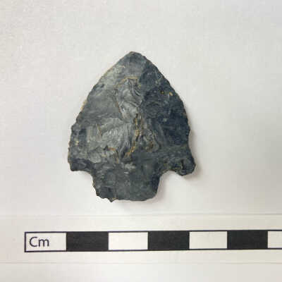 Projectile Point