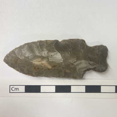 Projectile Point