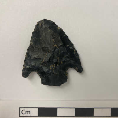 Projectile Point