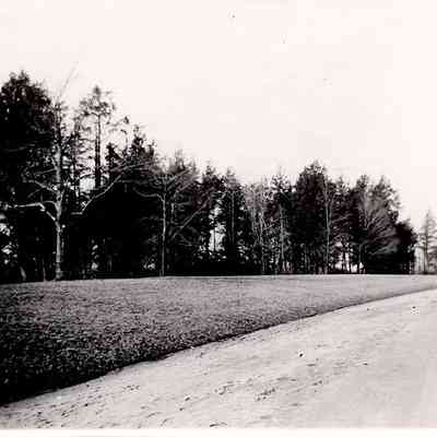 Hemlock Grove (East View), 1898