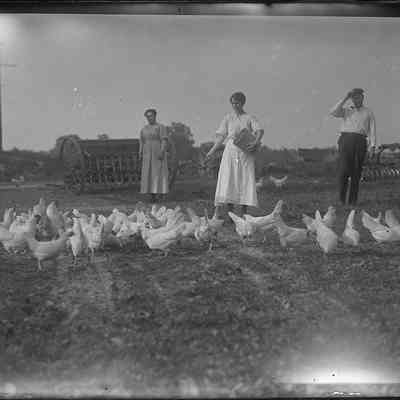 Woman Feeding Chickens