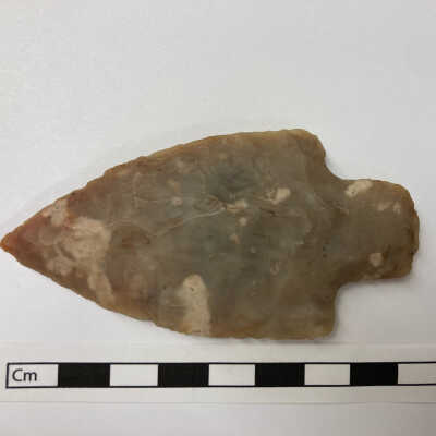 Projectile point