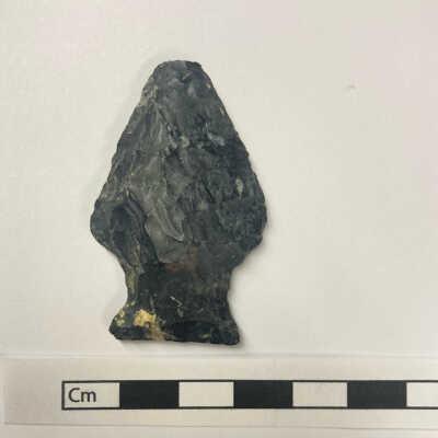 Projectile Point