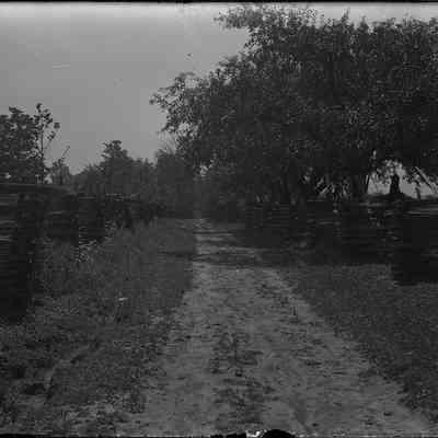Lane on Sylvester Knittel Property (Looking South)