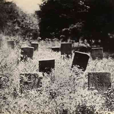 Northwest Section of North Union Shaker Cemetery, 1894